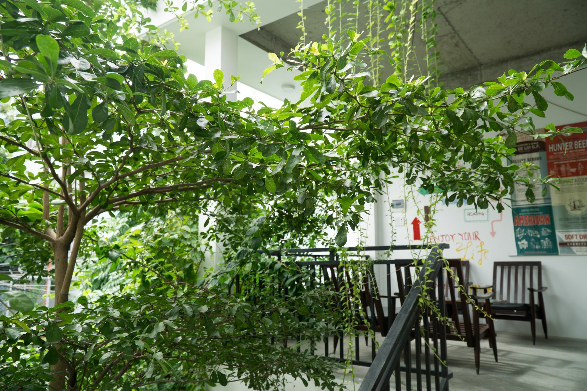 Kiu House - 3Br - Green & Artistic Danang Exteriér fotografie