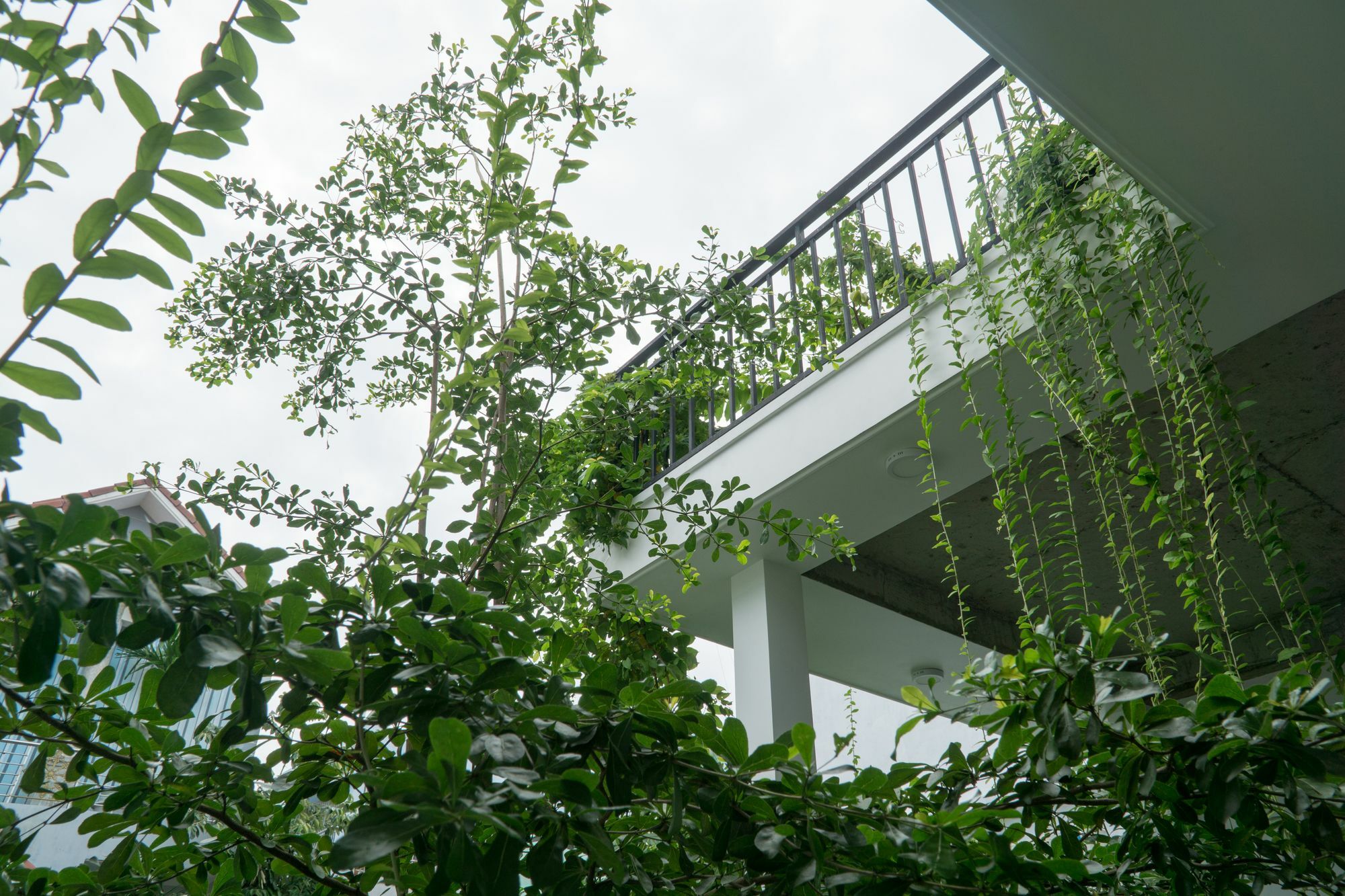 Kiu House - 3Br - Green & Artistic Danang Exteriér fotografie